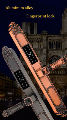 Zinc Alloy Fingerprint Door Lock with 5 Unlock Ways for Apartments Offices