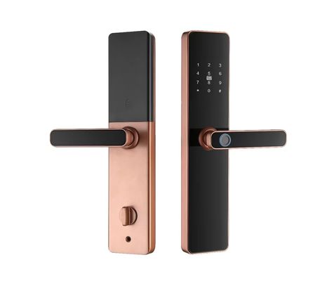 S819 Fermetures à empreintes digitales intelligentes Fermetures de porte biométriques Zigbee pour la maison