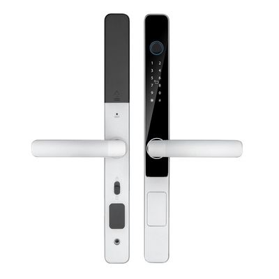 IP65 étanche à l'eau Smart Tuya Wifi télécommande TTlock App verrouillage de porte numérique