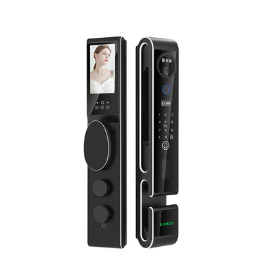 Fermeture de porte à identification faciale Noire Tuya Fermeture de porte numérique avec interphone