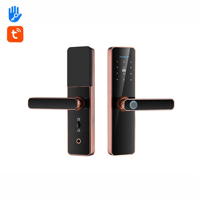 Mot de passe intelligent, empreinte digitale, verrouillage de porte TTlock, verrouillage automatique pour la maison