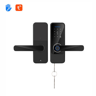 Tuya App verrouillage électronique de mot de passe Wifi verrouillage de porte biométrique pour la maison