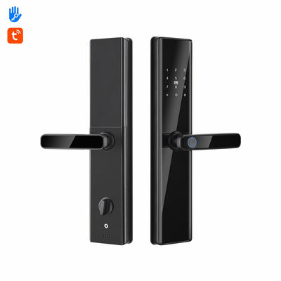 Fermeture de porte électronique en verre trempé Wifi Fermeture d'empreintes digitales mot de passe Pour la porte de la chambre