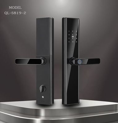 Le verrouillage de porte à empreinte digitale Black Smart Life pour l'application Wifi TTlock de Tuya