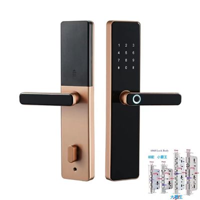 6068 Mortise TTlock Wifi Tuya Fermeture de porte avec empreinte digitale et mot de passe
