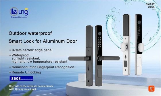 Fermeture d'empreintes digitales imperméable à l'eau IP65 Fermeture d'empreintes digitales noire argentée
