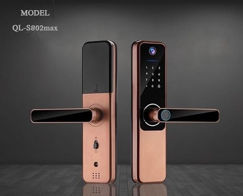 Fermeture de porte à piles alcalines durables Tuya Bluetooth Fermeture de porte à empreintes digitales
