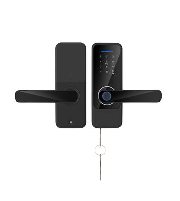 S810 Verrouillage d'empreintes digitales intelligents clés Wifi simple verrouillage de porte Tuya verrouillage d'empreintes digitales TTlock Smart Home verrouillage de porte