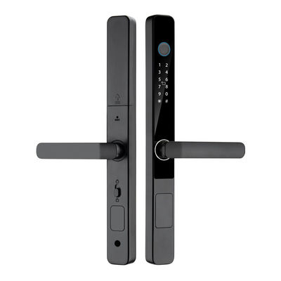 Numérique extérieur IP65 étanche à l'eau carte d'empreinte digitale mot de passe avec Tuya TTlock App Déverrouillage à distance Smart Home Door Lock