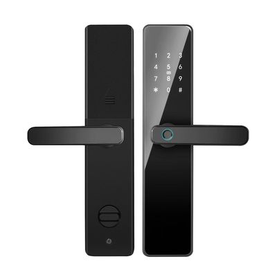 Qleung S819 porte en aluminium empreinte digitale WiFi activé Tuya TTlock avec mot de passe carte clé pour la maison
