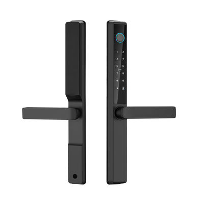 Serrure intelligente WiFi TTlock Tuya étanche pour extérieur, carte, empreinte digitale, mot de passe, serrure de porte coulissante en aluminium