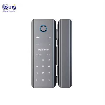 Qleung Smart Lock G9S Tuya APP Lock Mot de passe Code de carte clé Imprimantes digitales Smart porte à domicile verrouillage pour porte en verre