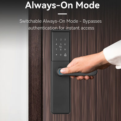 Serrure de porte intelligente Tuya Qleung S851 avec cylindre de serrure de grade B et réseau Wi-Fi, avec stockage de données cloud