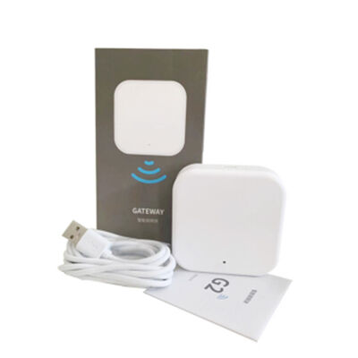 Fermeture de porte intelligente G2 Wifi BLE Gateway
